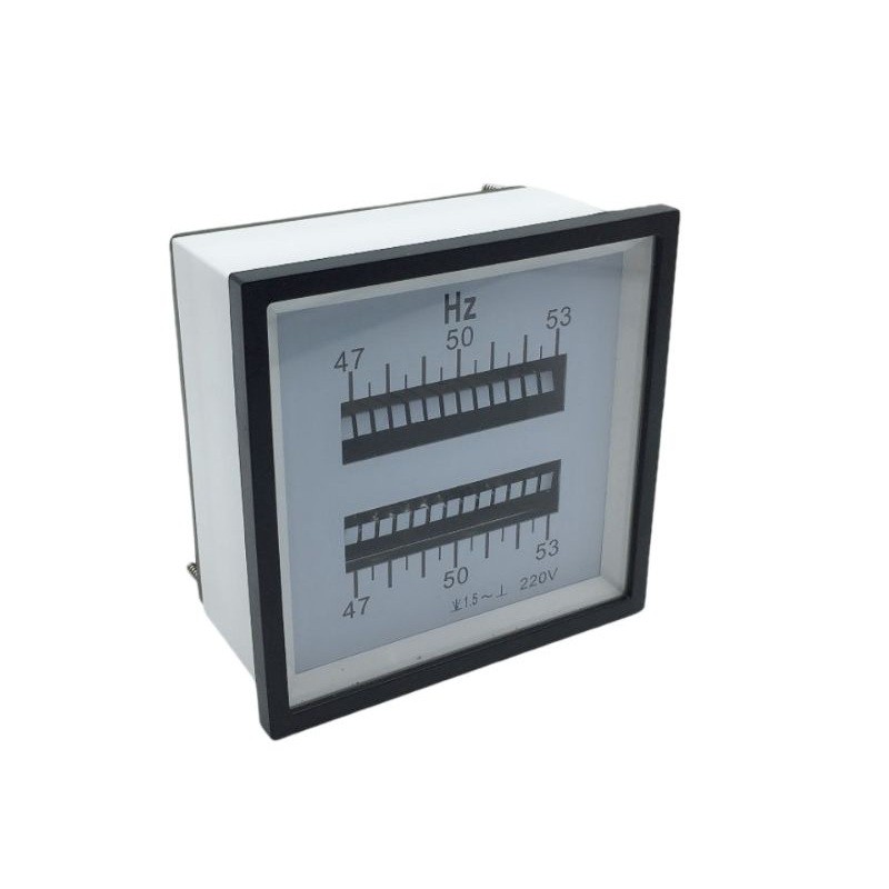 이중 주파수 측정기